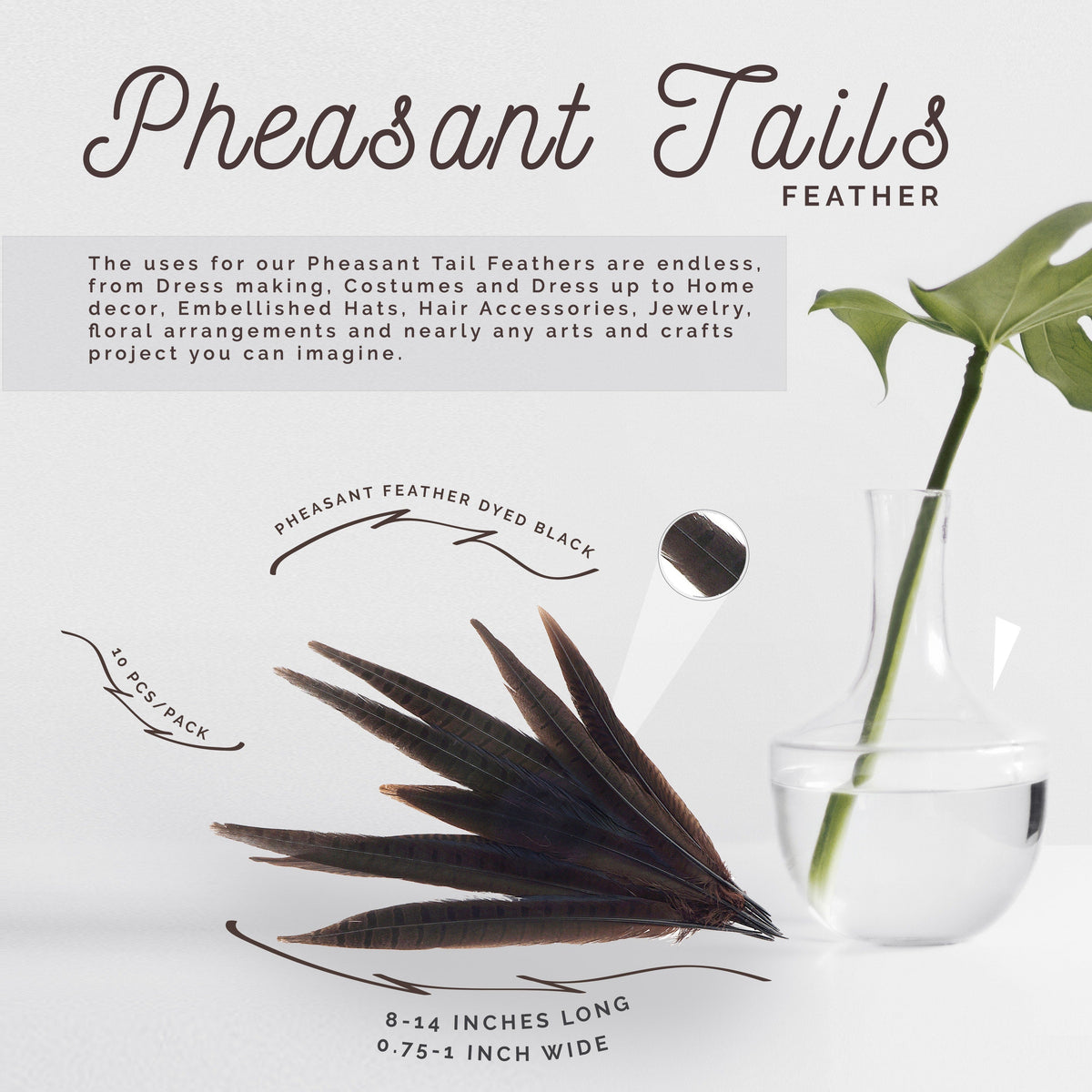 Pheasant Tails Assorted Bleached - Brown