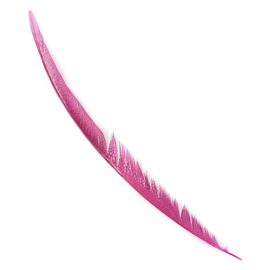 Golden Pheasant Center Tails Dyed Fl Fuchsia