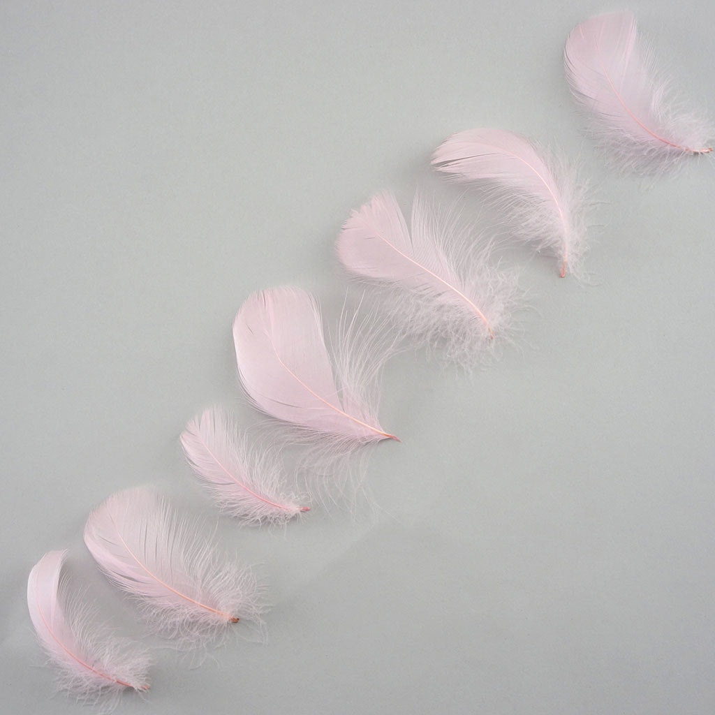 Candy Pink Loose Goose Coquille Feathers 3-5 inch