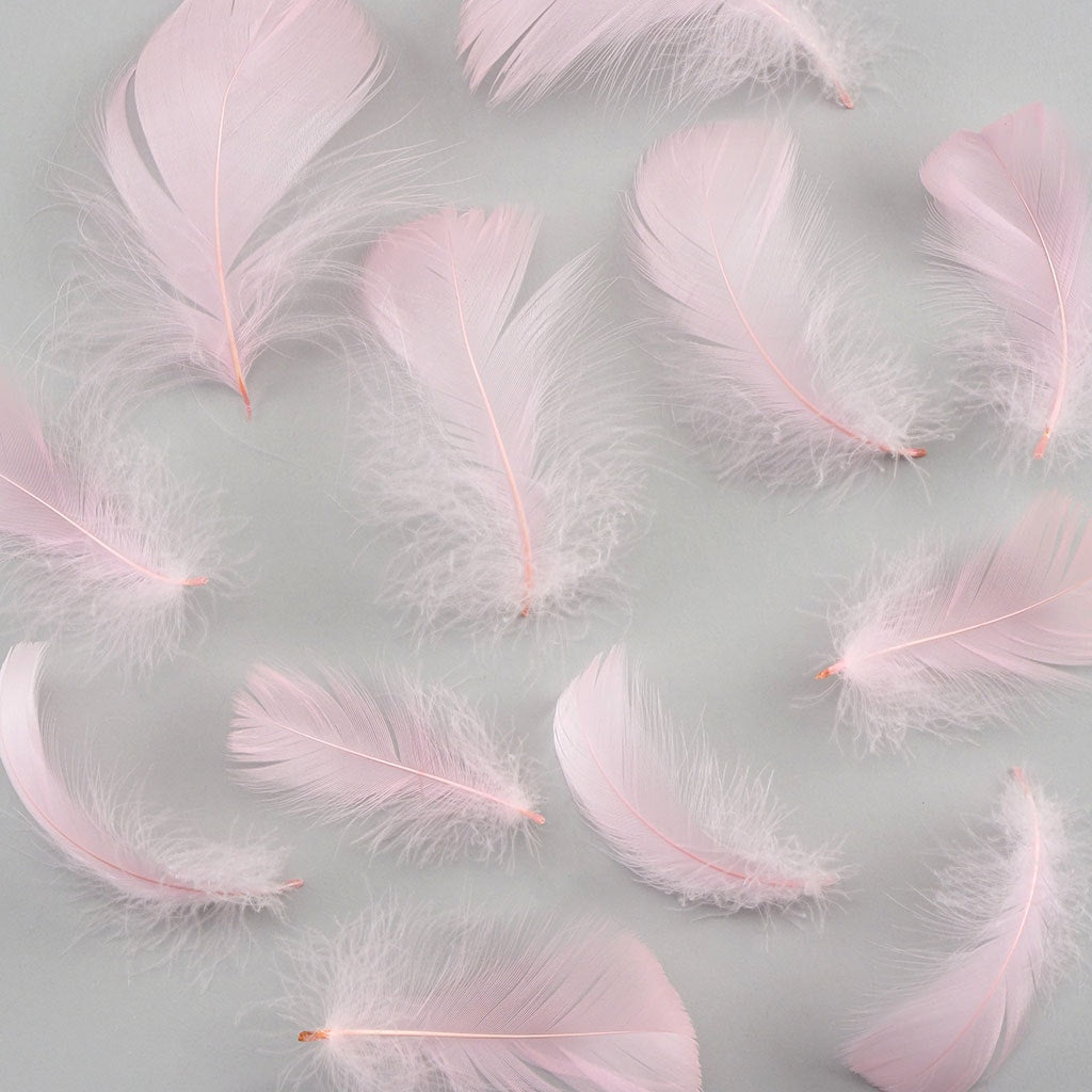 Candy Pink Loose Goose Coquille Feathers 3-5 inch
