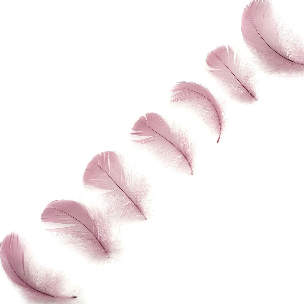 Dusty Rose Loose Goose Coquille Feathers 3-5 inch