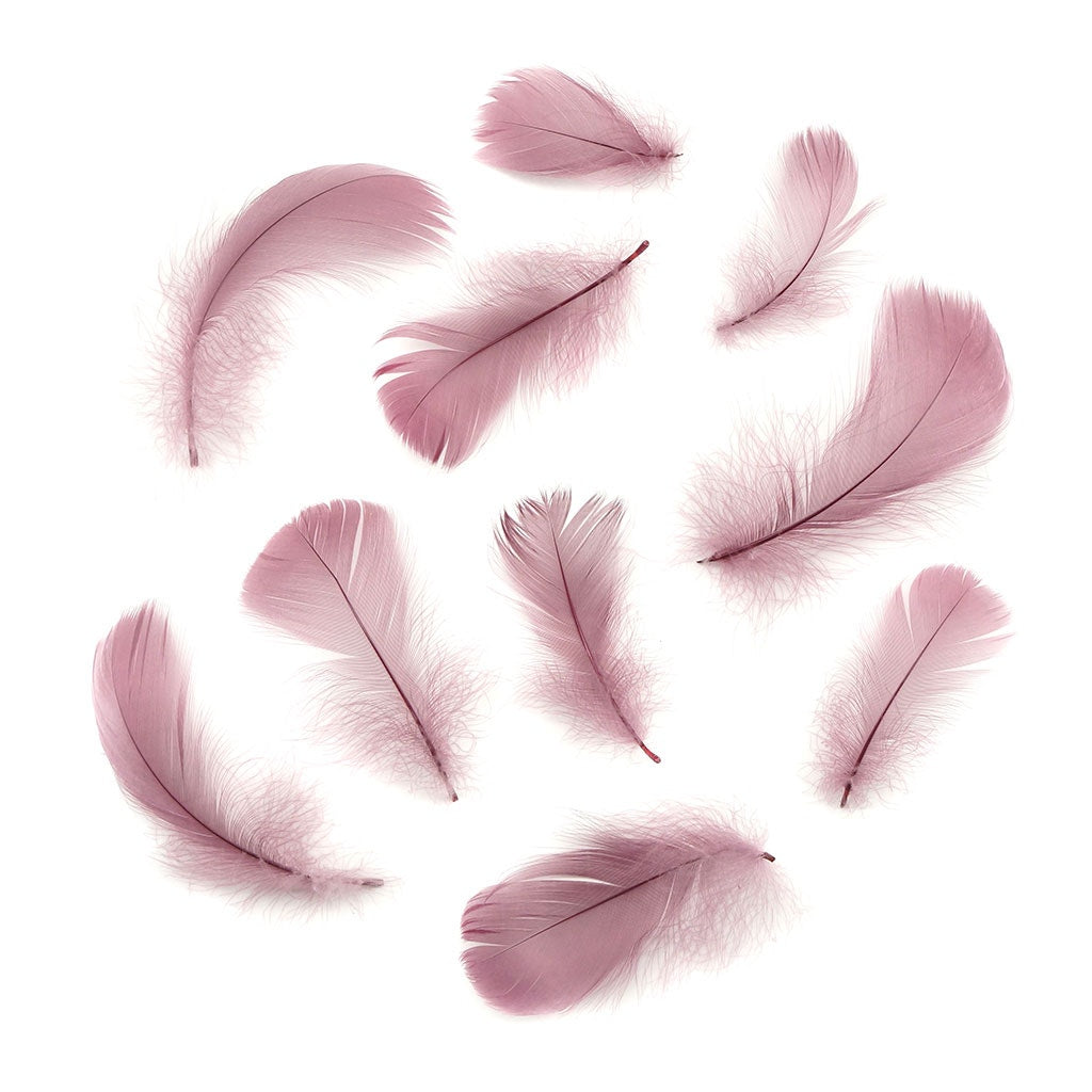 Dusty Rose Loose Goose Coquille Feathers 3-5 inch