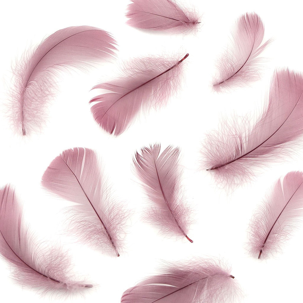 Dusty Rose Loose Goose Coquille Feathers 3-5 inch