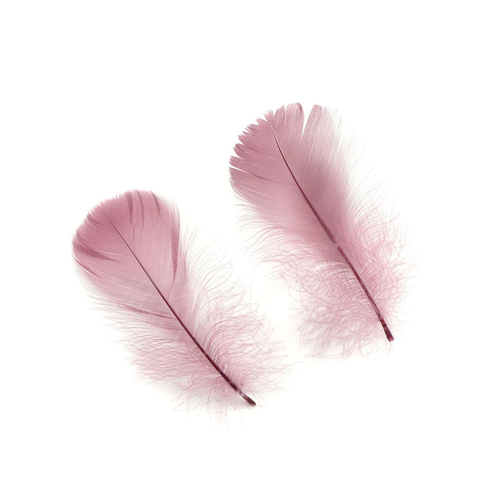 Dusty Rose Loose Goose Coquille Feathers 3-5 inch