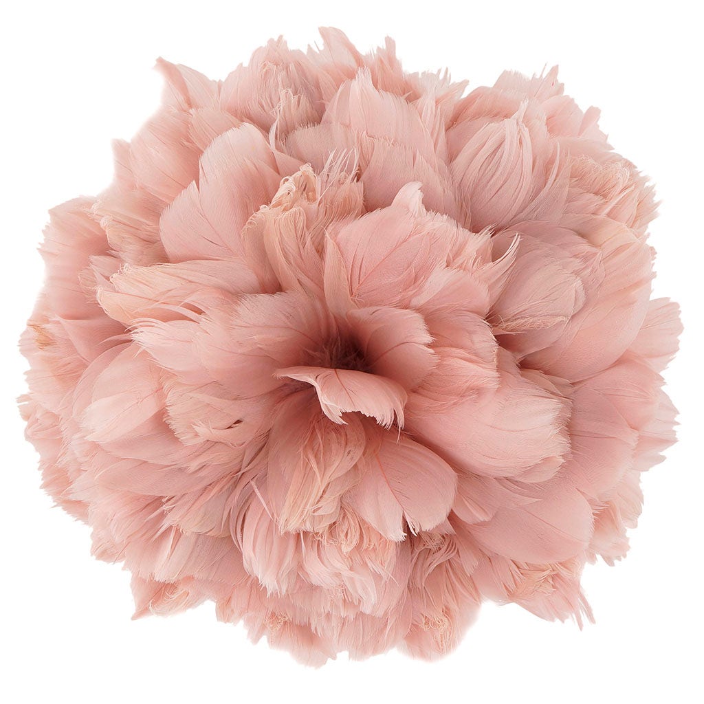 Goose Nagorie Feathers 1YD - Champagne