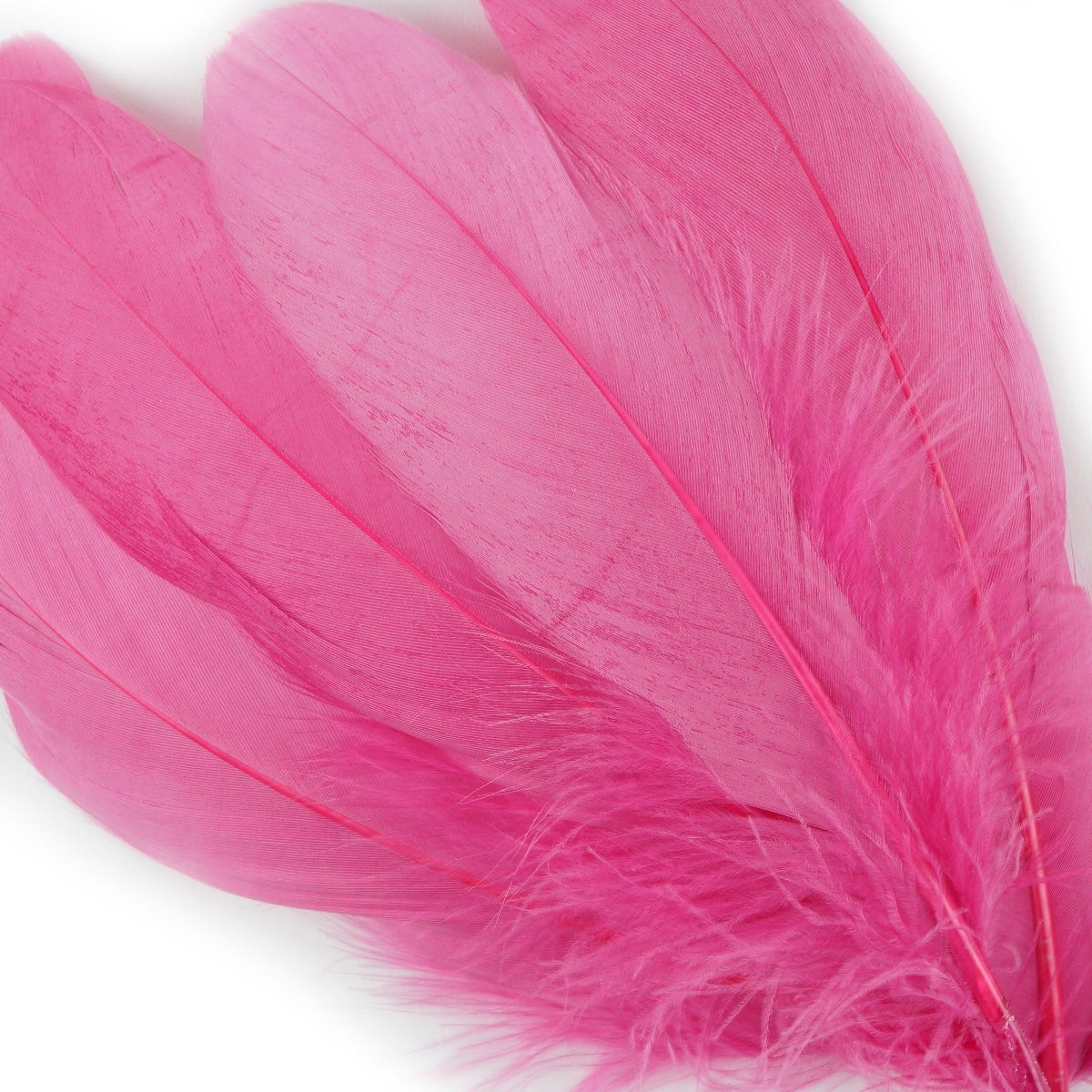 GOOSE PALLET 6-8" 12PC/PKG - Raspberry Sorbet