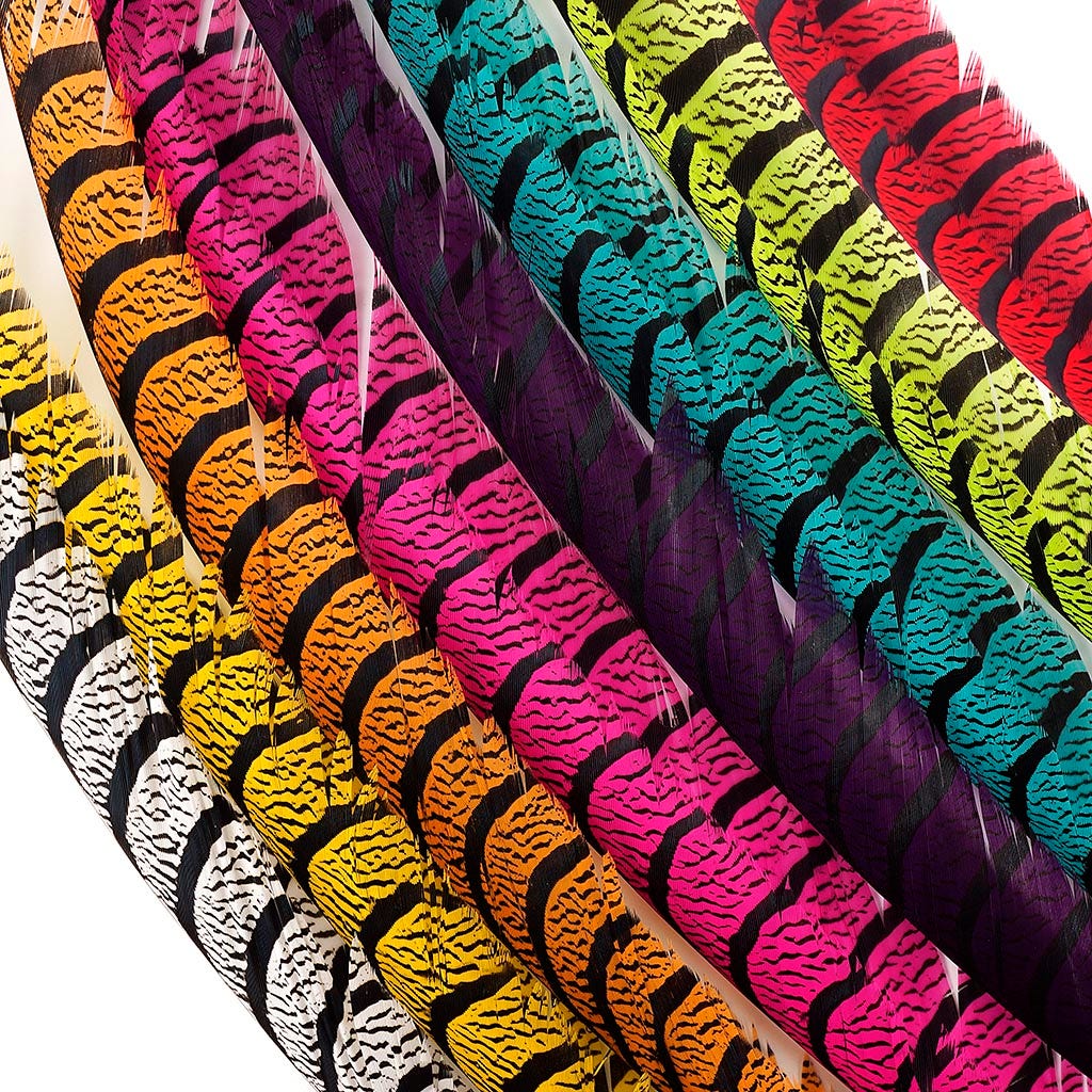 Lady Amherst Pheasant Tails - Shocking Pink