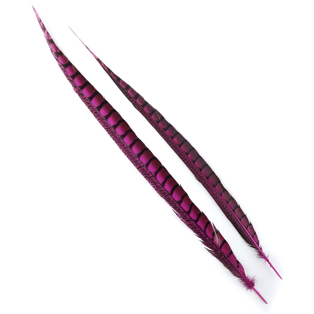 Lady Amherst Pheasant Tails Dyed 1pc Per Package Fl Fuchsia
