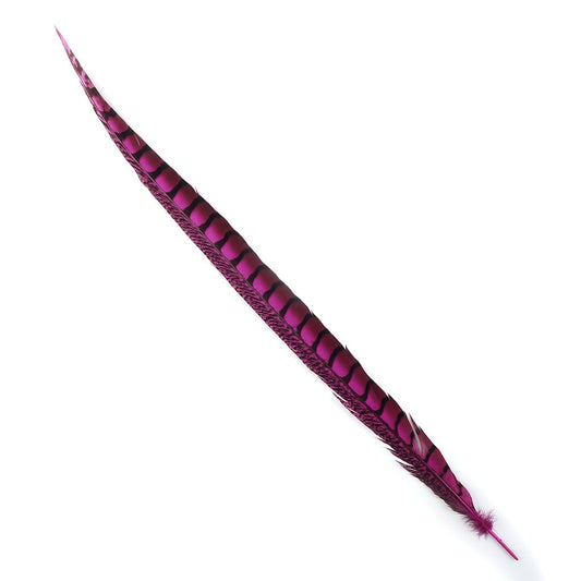 Lady Amherst Pheasant Tails Dyed 1pc Per Package Fl Fuchsia