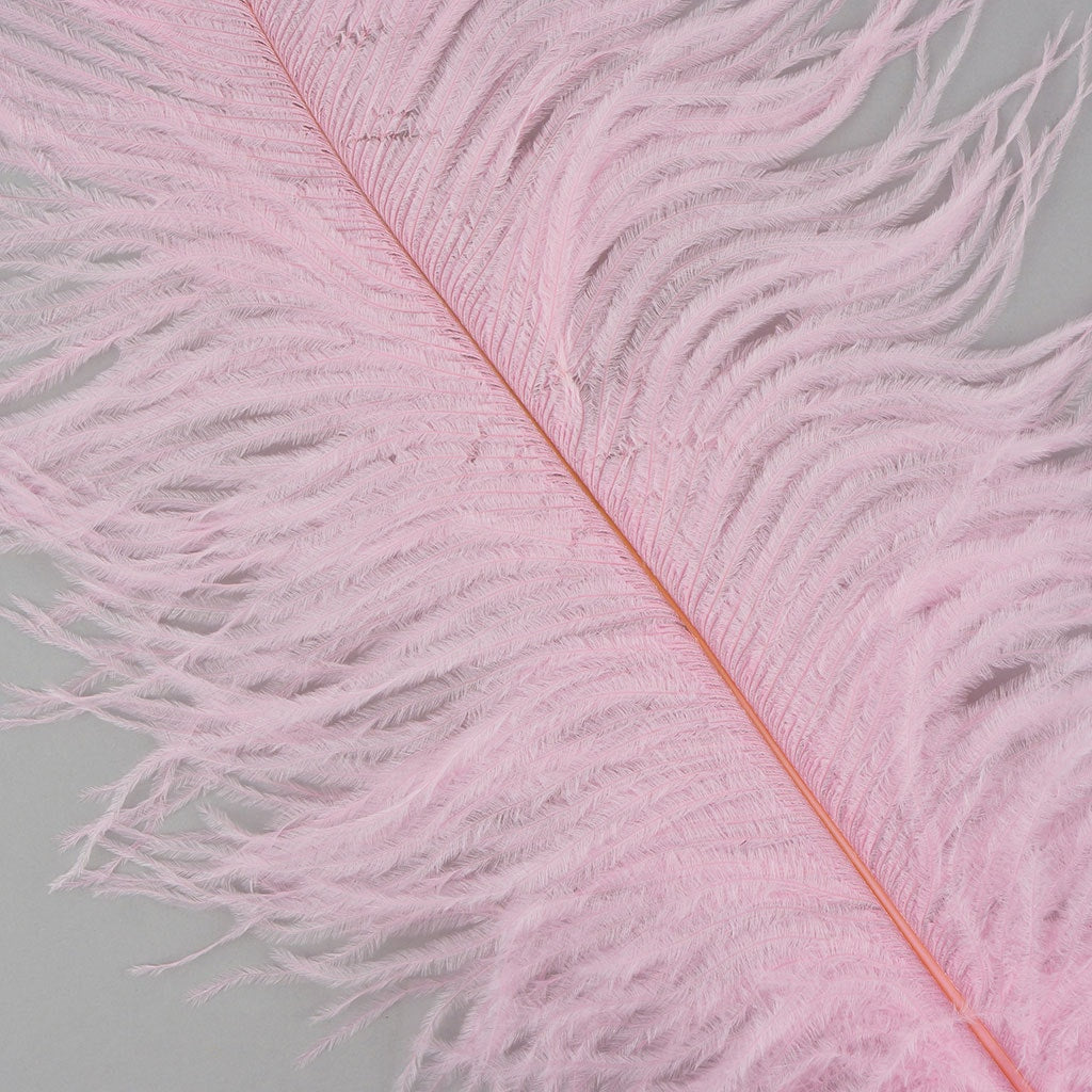 Ostrich Feathers-Narrow Drabs - Candy Pink