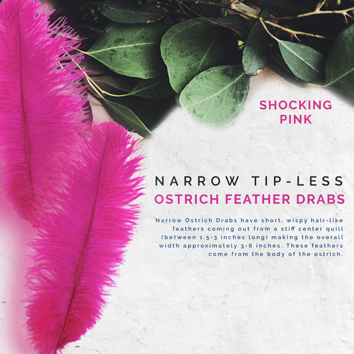 Ostrich Feathers-Narrow Drabs - Shocking Pink