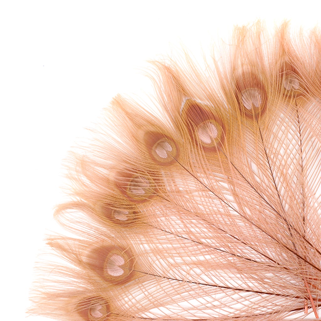 Peacock Tail Eyes Bleached and Dyed - 8-15” - 100 pc - Dusty Rose