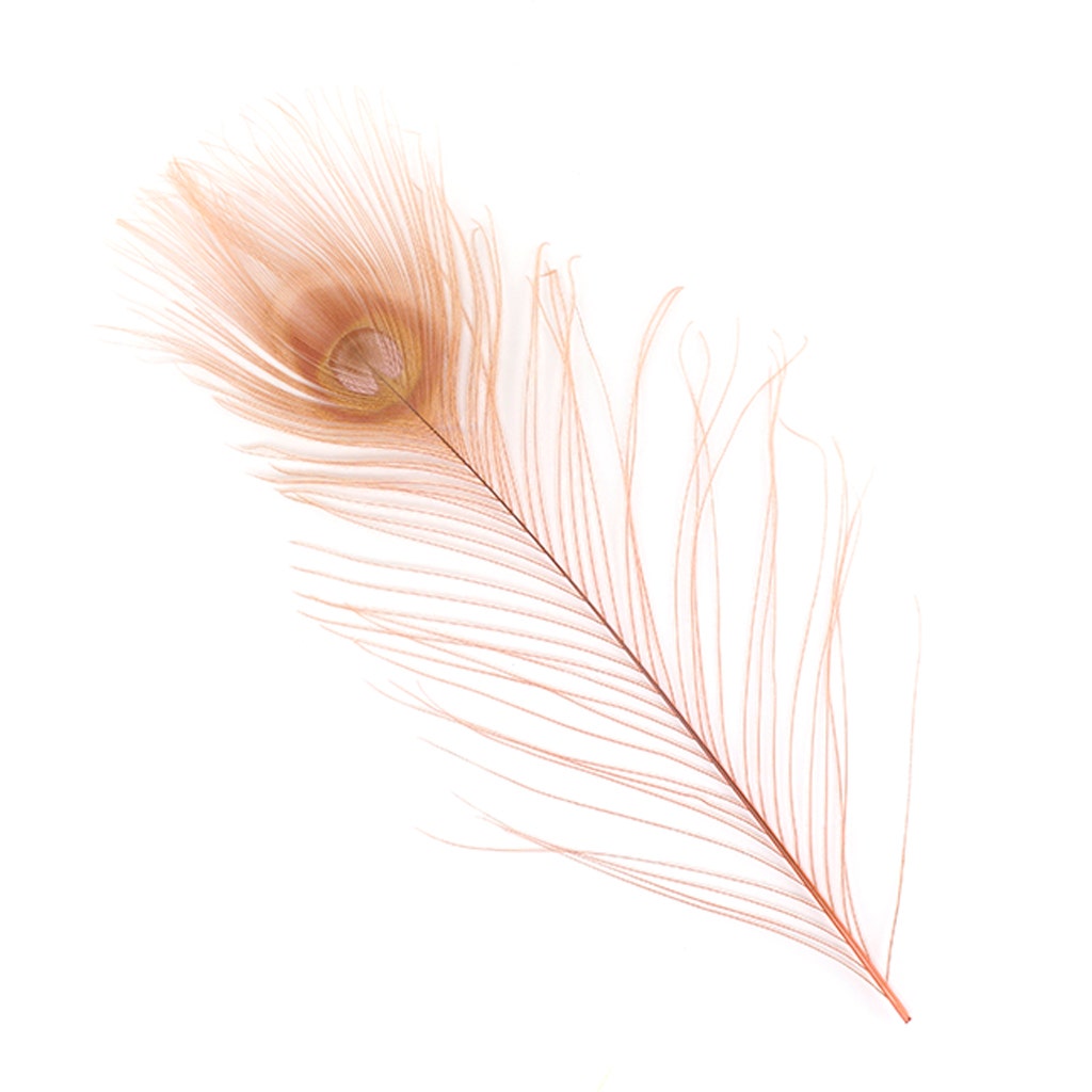 Peacock Tail Eyes Bleached and Dyed - 8-15” - 100 pc - Dusty Rose