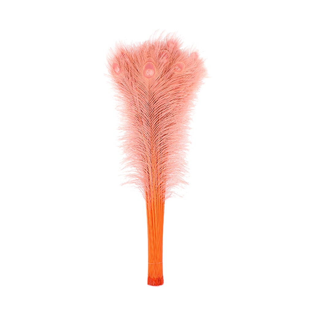 Peacock Tail Eyes Bleached Dyed - 25-40 Inch - 100 PCS - Dusty Rose