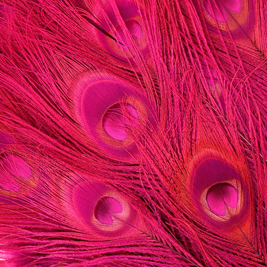 Peacock Tail Eyes Bleached Dyed - Shocking Pink