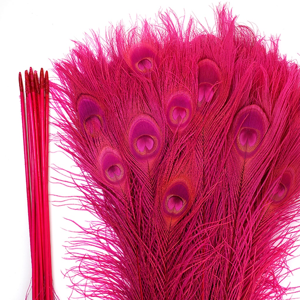 Bleached and Dyed Peacock Eye Feathers - 25-40 Inch - 10 PCS - Shocking Pink