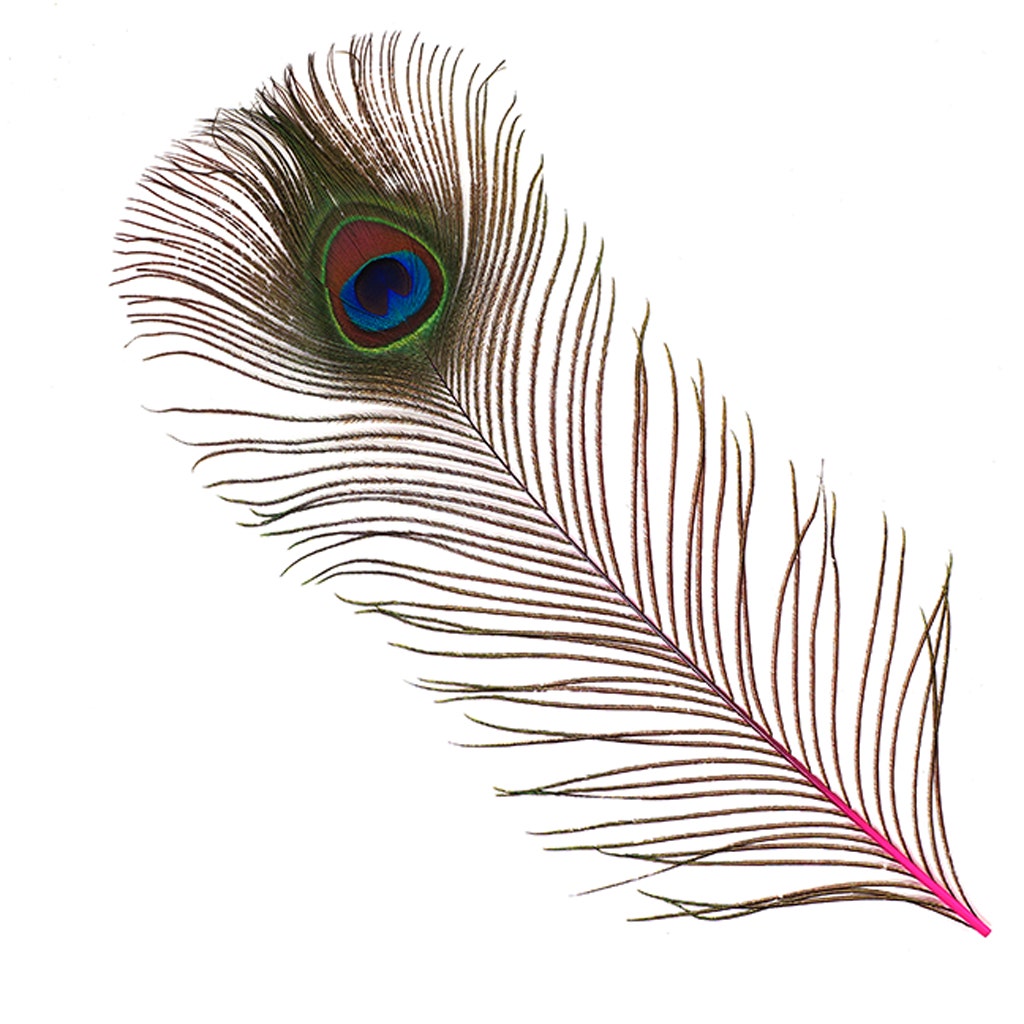 Bulk Peacock Eye Feathers (Full Eye) Stem Dyed 100 pc - 8-15" - Shocking Pink