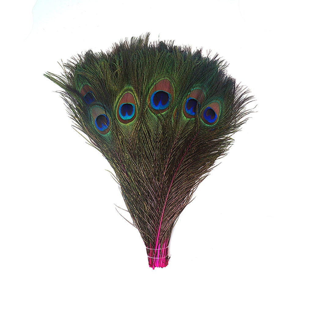 Bulk Peacock Eye Feathers (Full Eye) Stem Dyed 100 pc - 8-15" - Shocking Pink