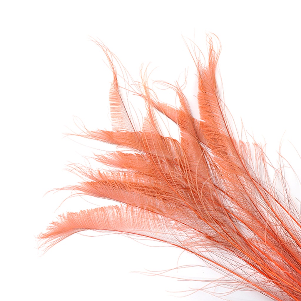 Peacock Swords Bleached Dyed - Dusty Rose