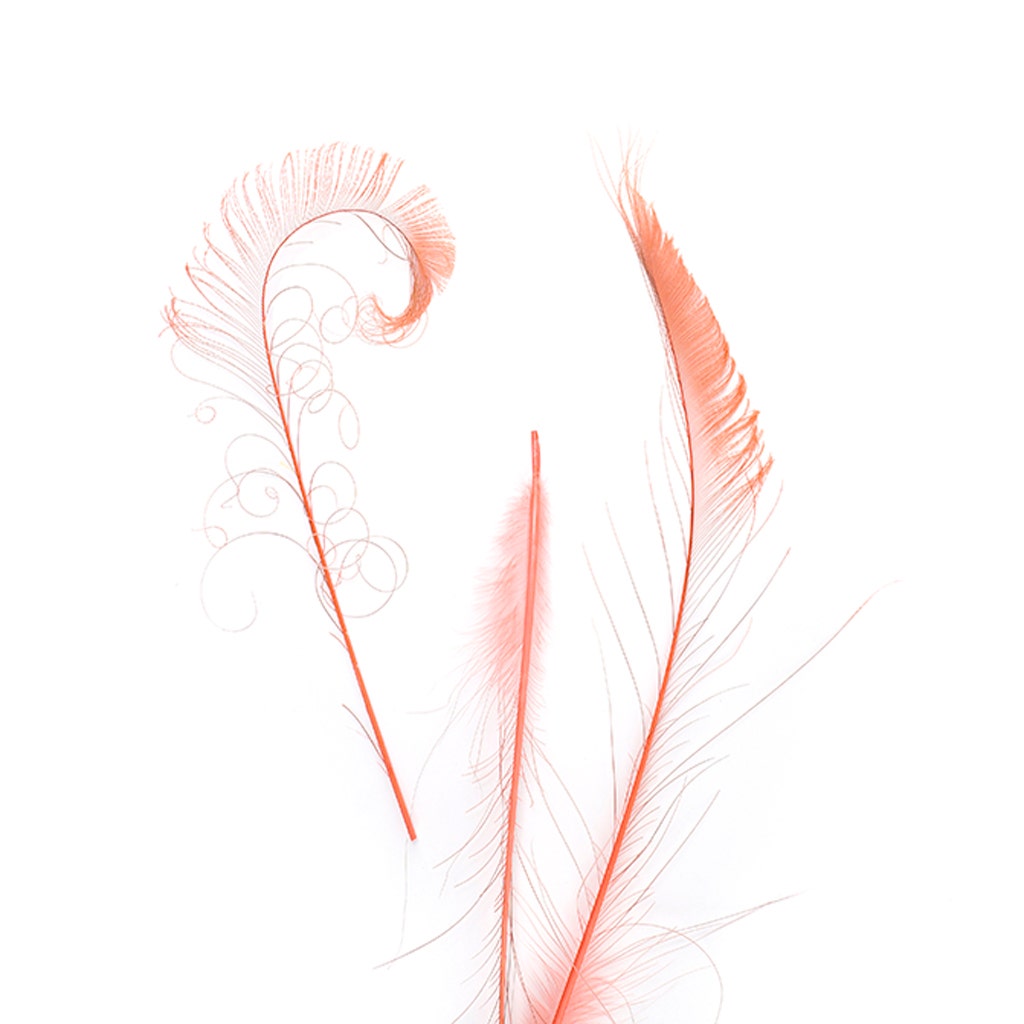 Peacock Swords Bleached Dyed - Dusty Rose