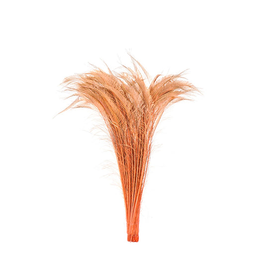 Peacock Swords Bleached Dyed - Dusty Rose