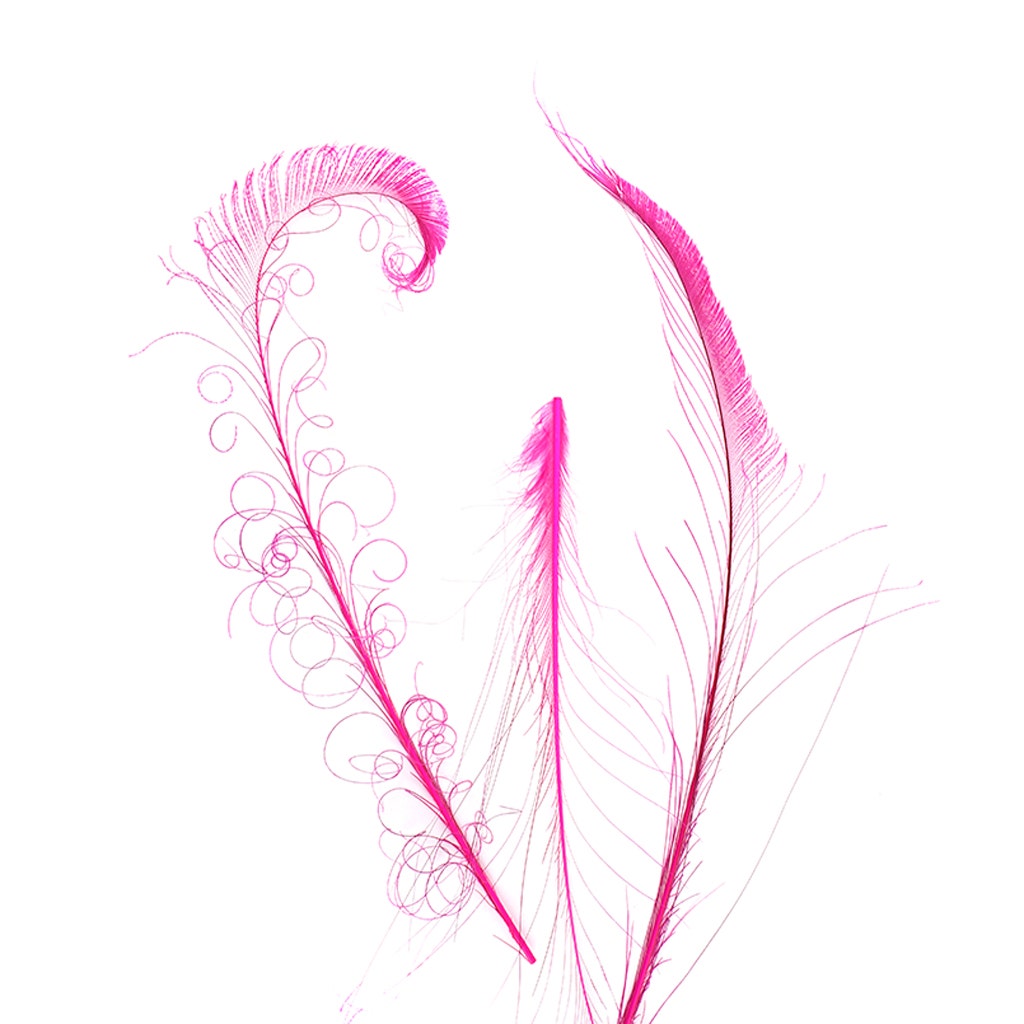 Bleached and Dyed Peacock Sword Feathers - Shocking Pink