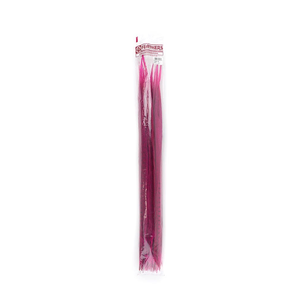 Assorted Pheasant Tails Dyed - Shocking Pink