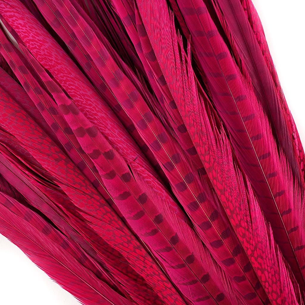 Pheasant Tails Assorted Bleached - Shocking Pink