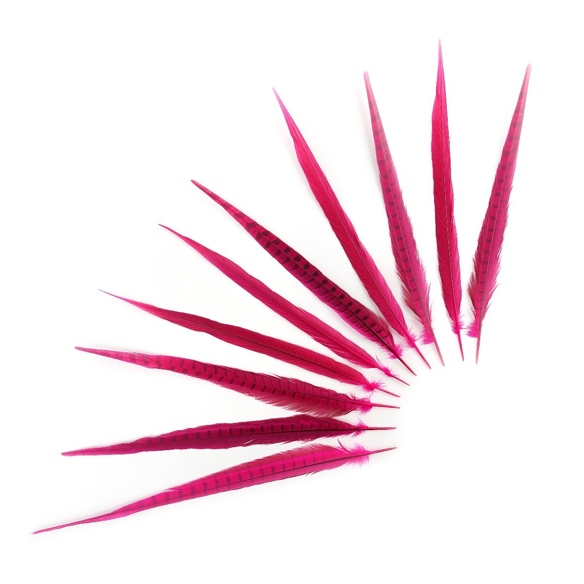 Pheasant Tails Assorted Bleached - Shocking Pink