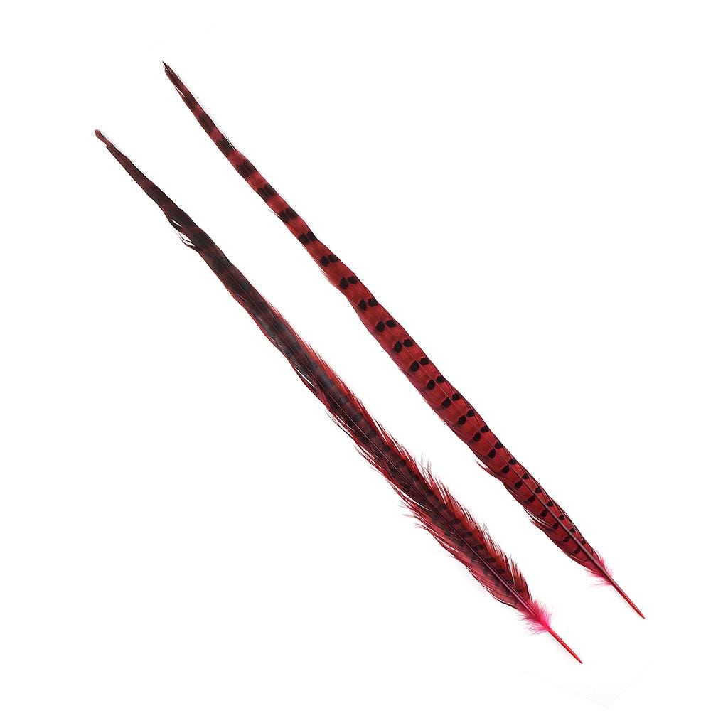 Ringneck Pheasant Tails 20-24" Dyed -5pcs - Shocking Pink