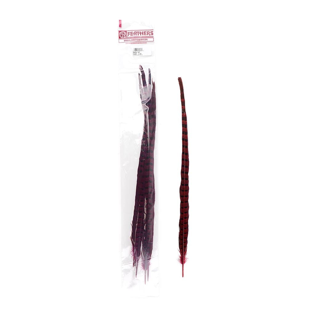 Ringneck Pheasant Tails 20-24" Dyed -5pcs - Shocking Pink