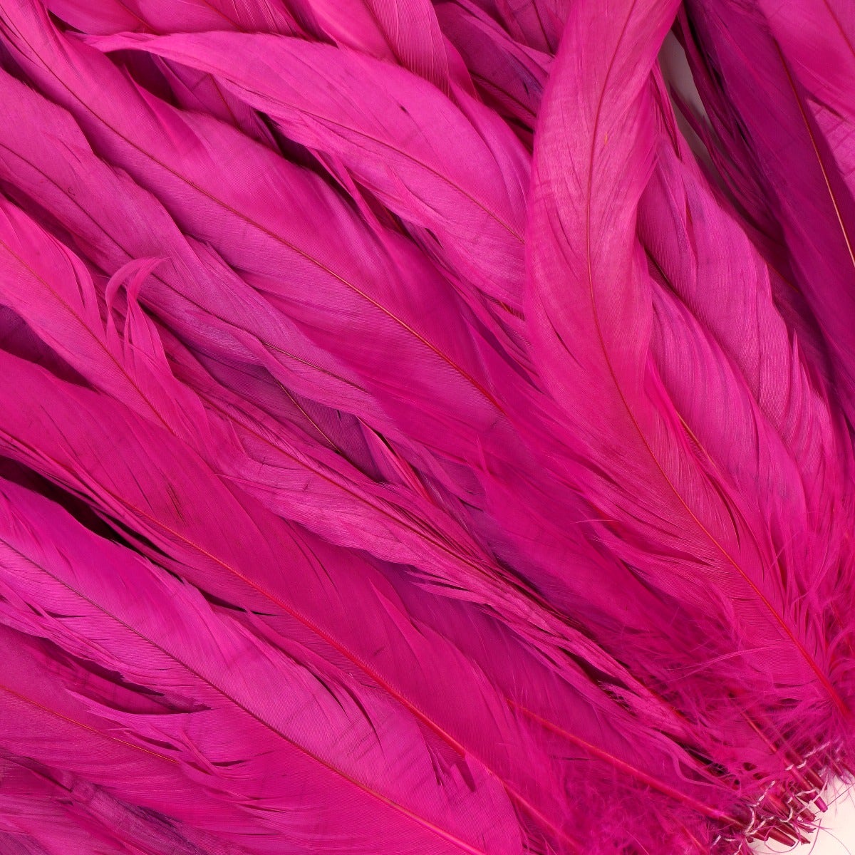 ROOSTER COQUE TAILS FEATHERS BLEACH DYED 7-10” - 1/2 Yard ( 18" ) - Shocking Pink
