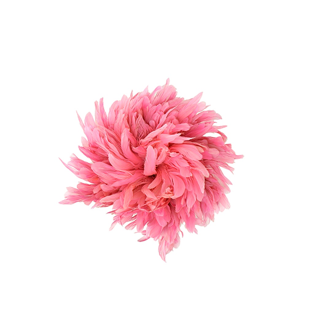 Rooster Coque Tails White-Dyed - Pink Orient