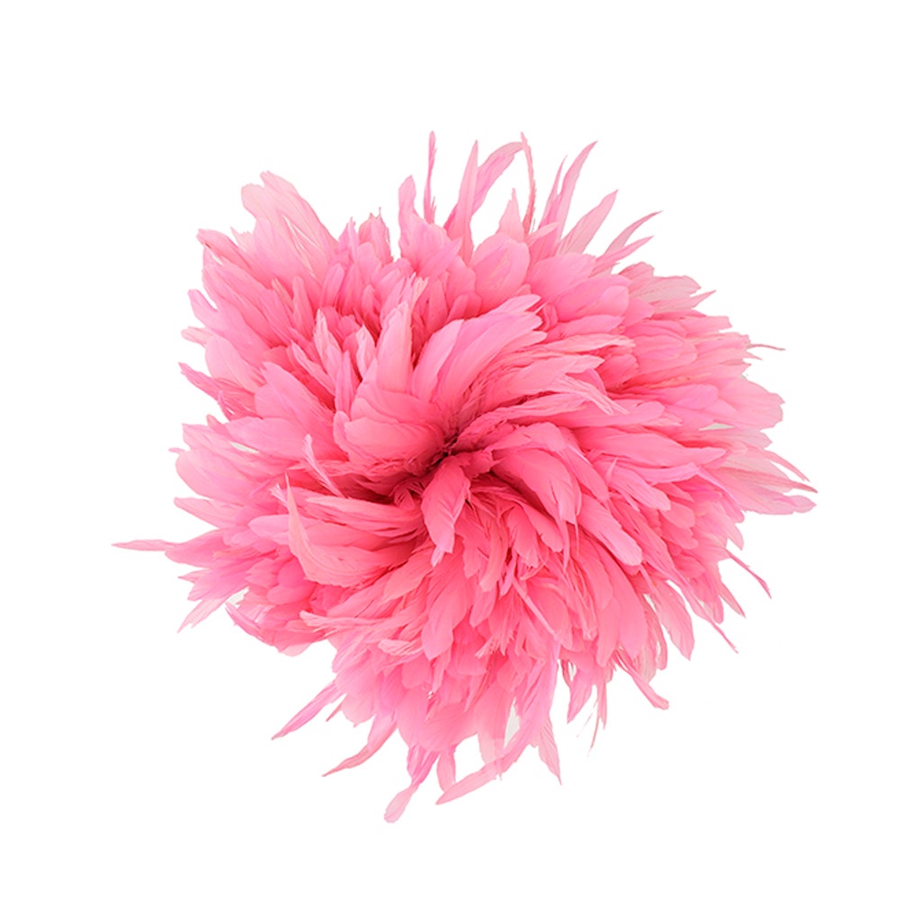 Rooster Coque Tails White-Dyed - Pink Orient