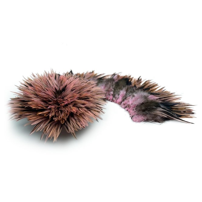 Badger Rooster Saddle Feathers Strung - 2" strip of 4-6" Rooster Feathers - Candy Pink