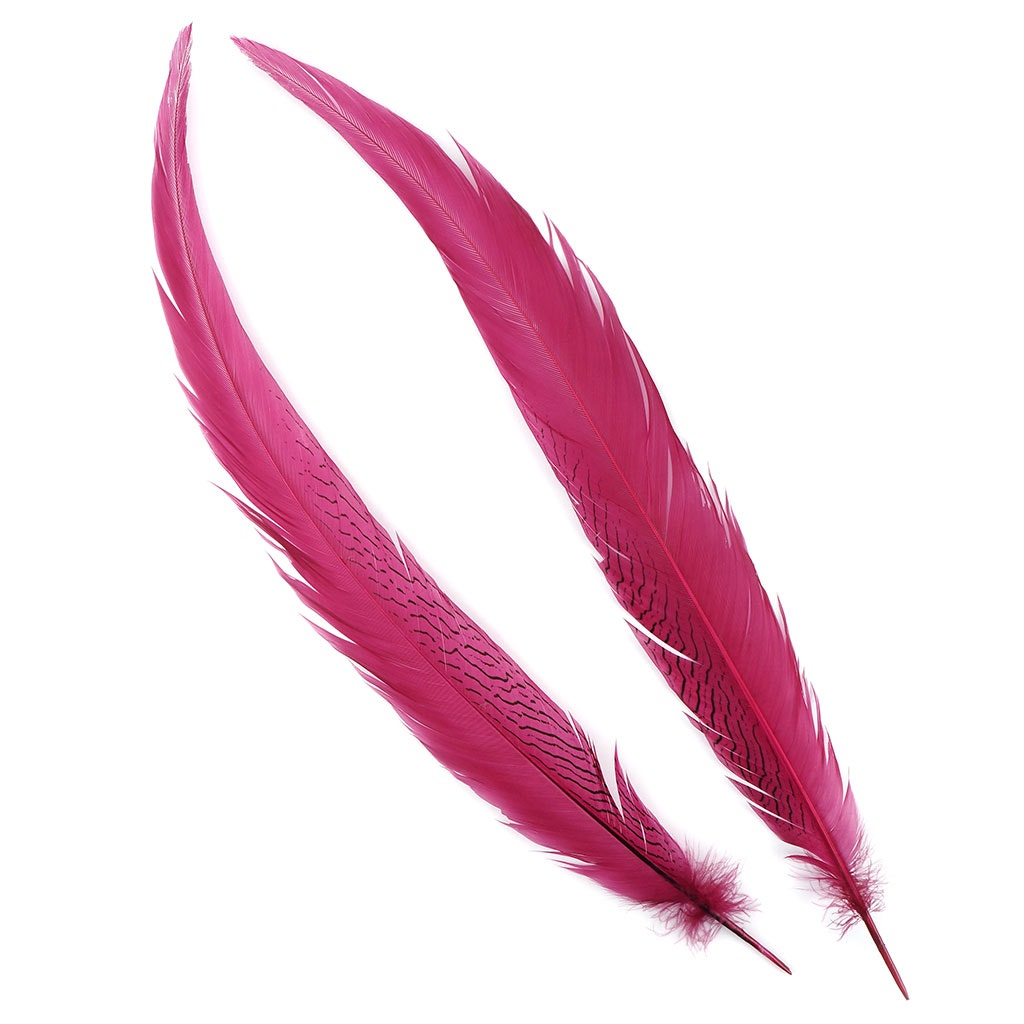 Silver Pheasant Tail Feathers Dyed Raspberry Sorbet