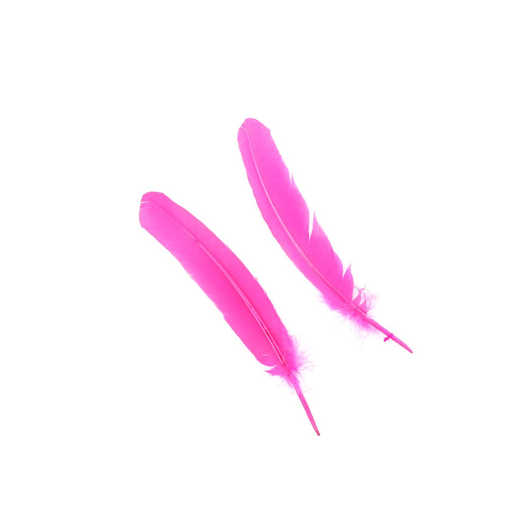 Turkey Quills Selected - Pink Orient