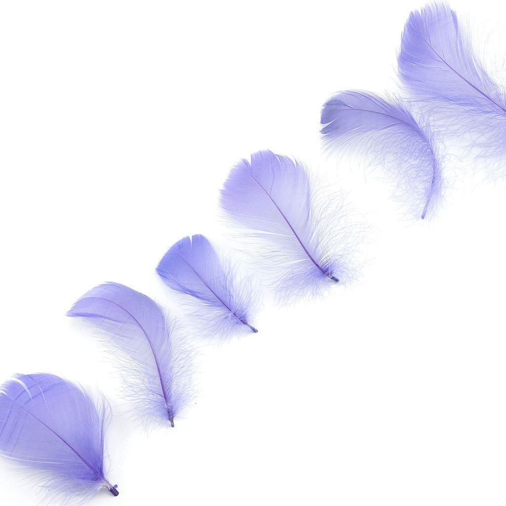 Lavender Loose Goose Coquille Feathers 3-5 inch