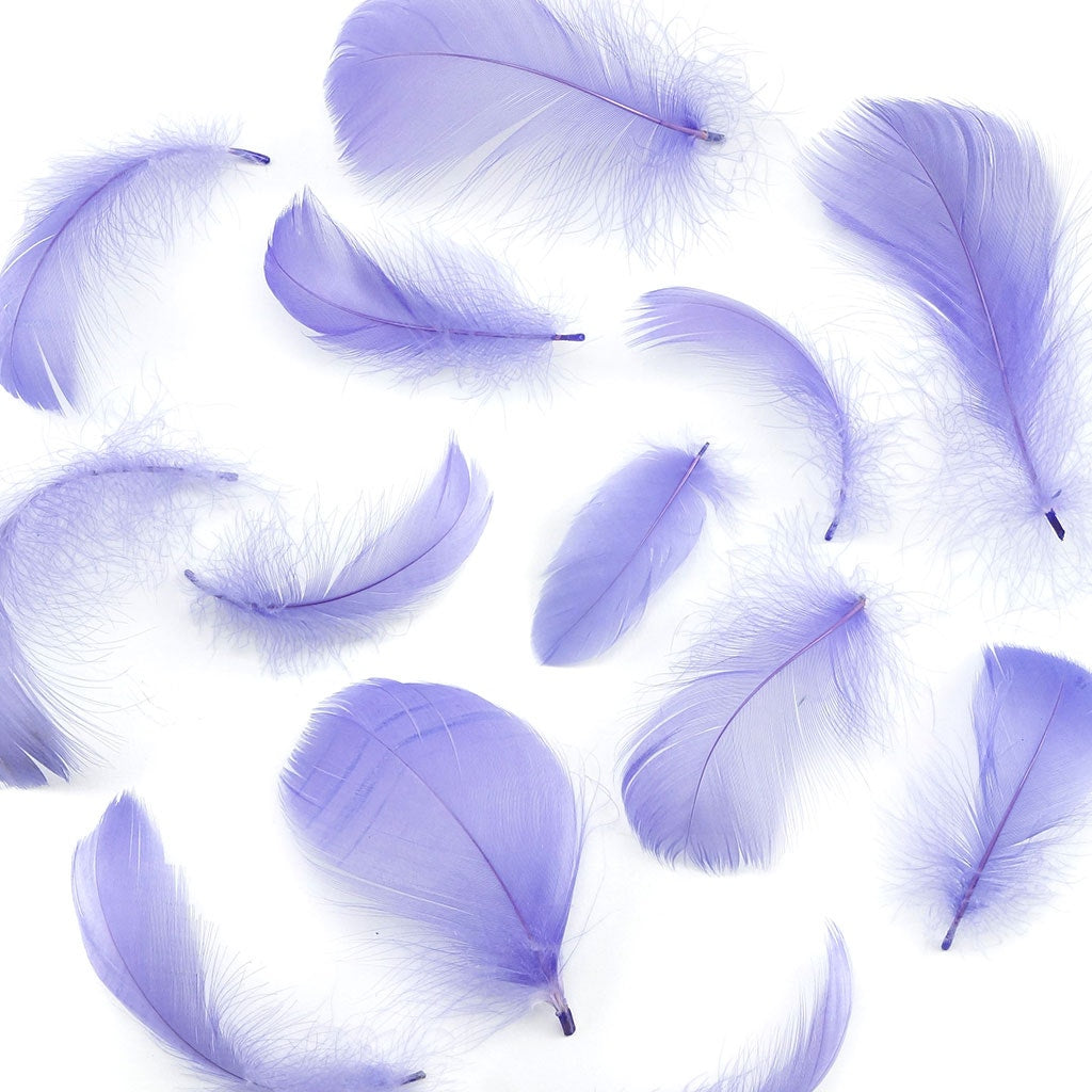 Lavender Loose Goose Coquille Feathers 3-5 inch
