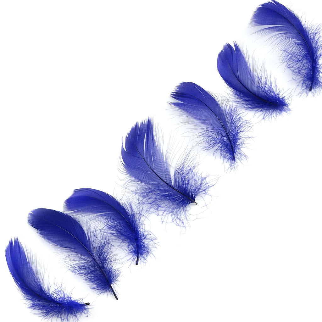 Regal Purple Loose Goose Coquille Feathers 3-5 inch