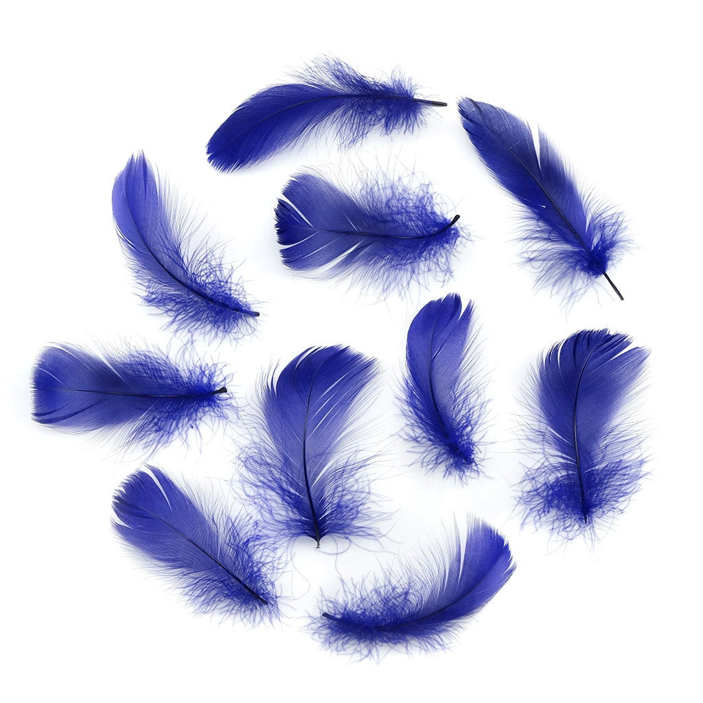 Regal Purple Loose Goose Coquille Feathers 3-5 inch