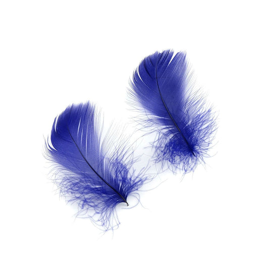 Regal Purple Loose Goose Coquille Feathers 3-5 inch