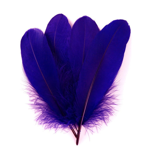 Goose Pallet Feathers 6-8" - 12 pc - Regal