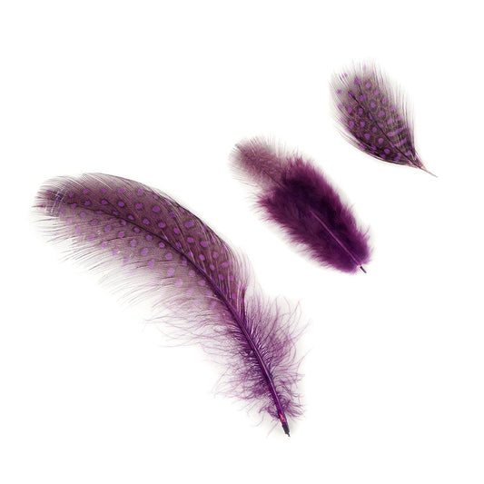 Bulk Guinea Hen Plumage Feathers - 1/4 lb - Purple