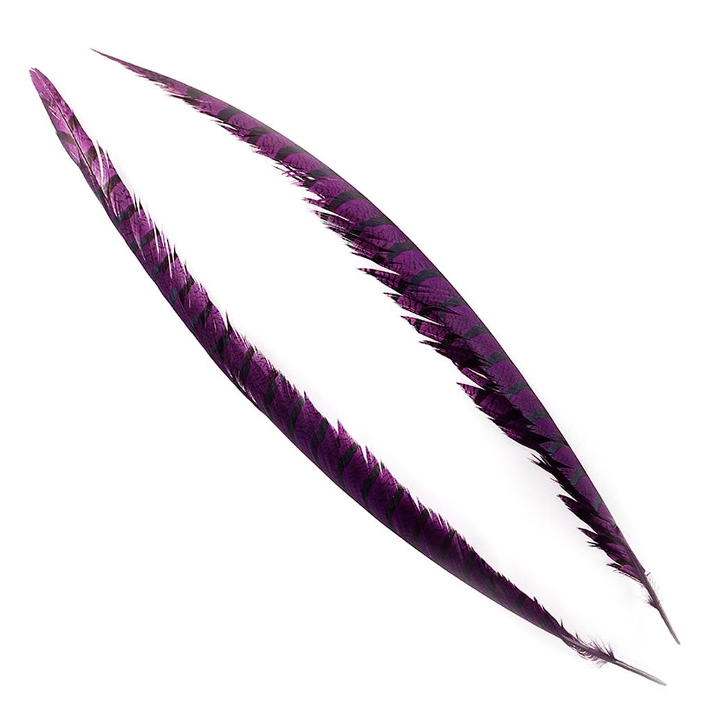 Lady Amherst Pheasant Tails - Purple