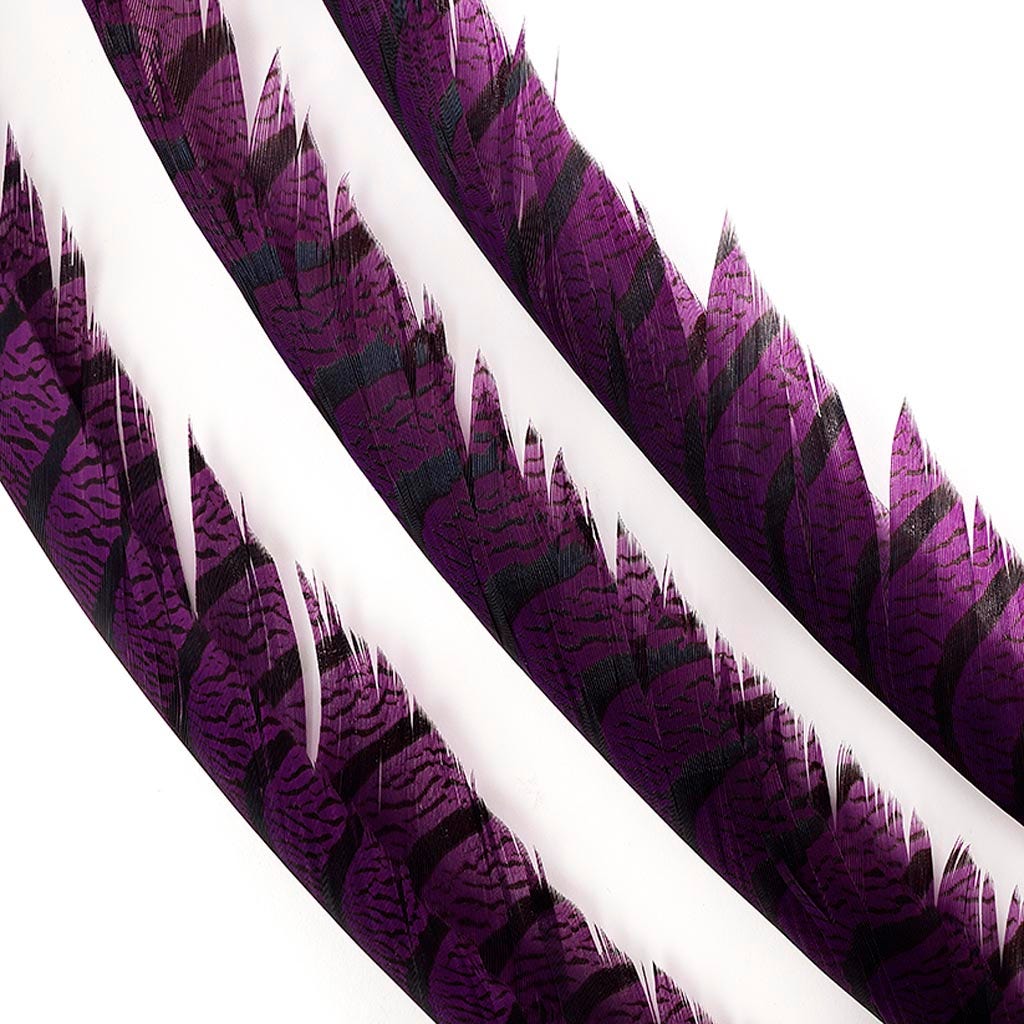 Lady Amherst Pheasant Tails - Purple