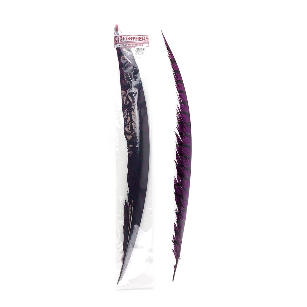 Lady Amherst Pheasant Tails - Purple