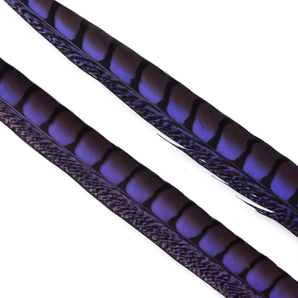 Lady Amherst Pheasant Tails Dyed 1pc Per Package Fl Lilac
