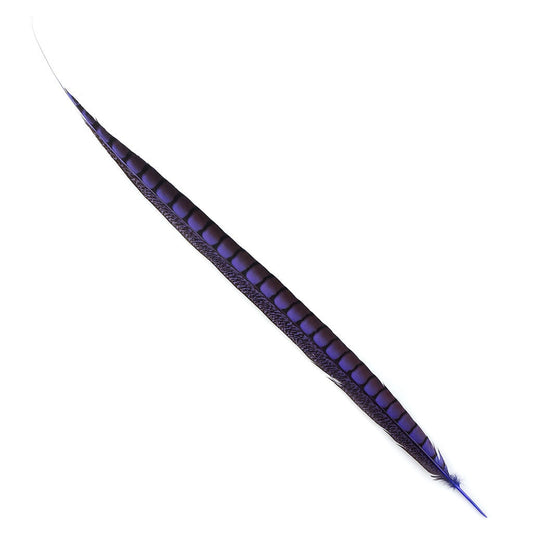 Lady Amherst Pheasant Tails Dyed 1pc Per Package Fl Lilac