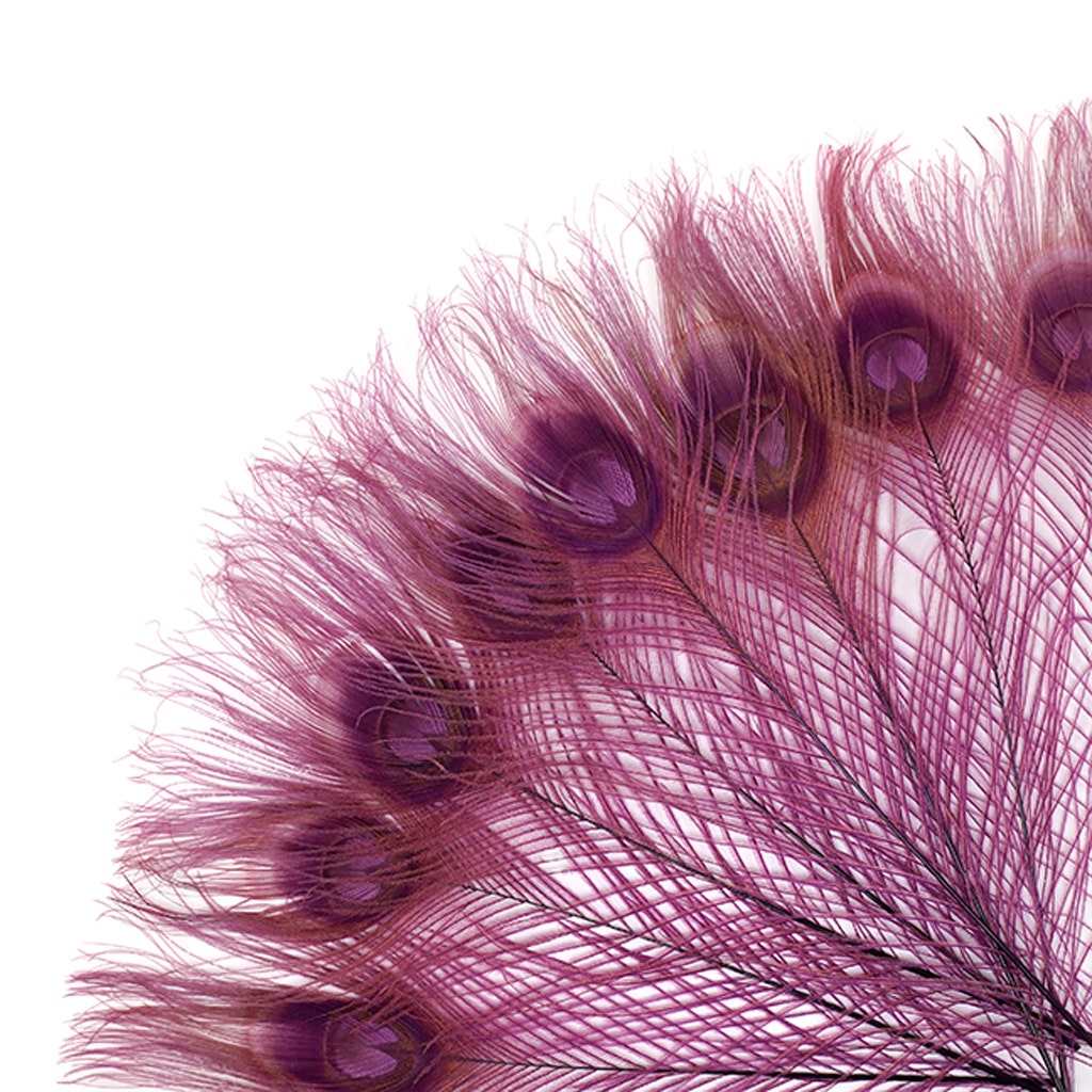 Peacock Tail Eyes Bleached and Dyed - 8-15” - 100 pc - Purple